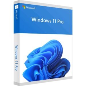Windows 11 Pro Licencia para 1 PC